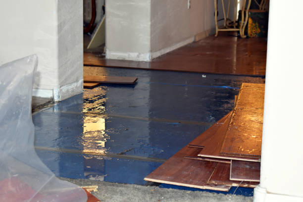 Professional Water Damage technician working in Blue Jay, CA